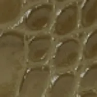 Dorian Belt In Khaki Croc Embossed Calf Leather sold by Victoria Beckham product image thumbnail 3