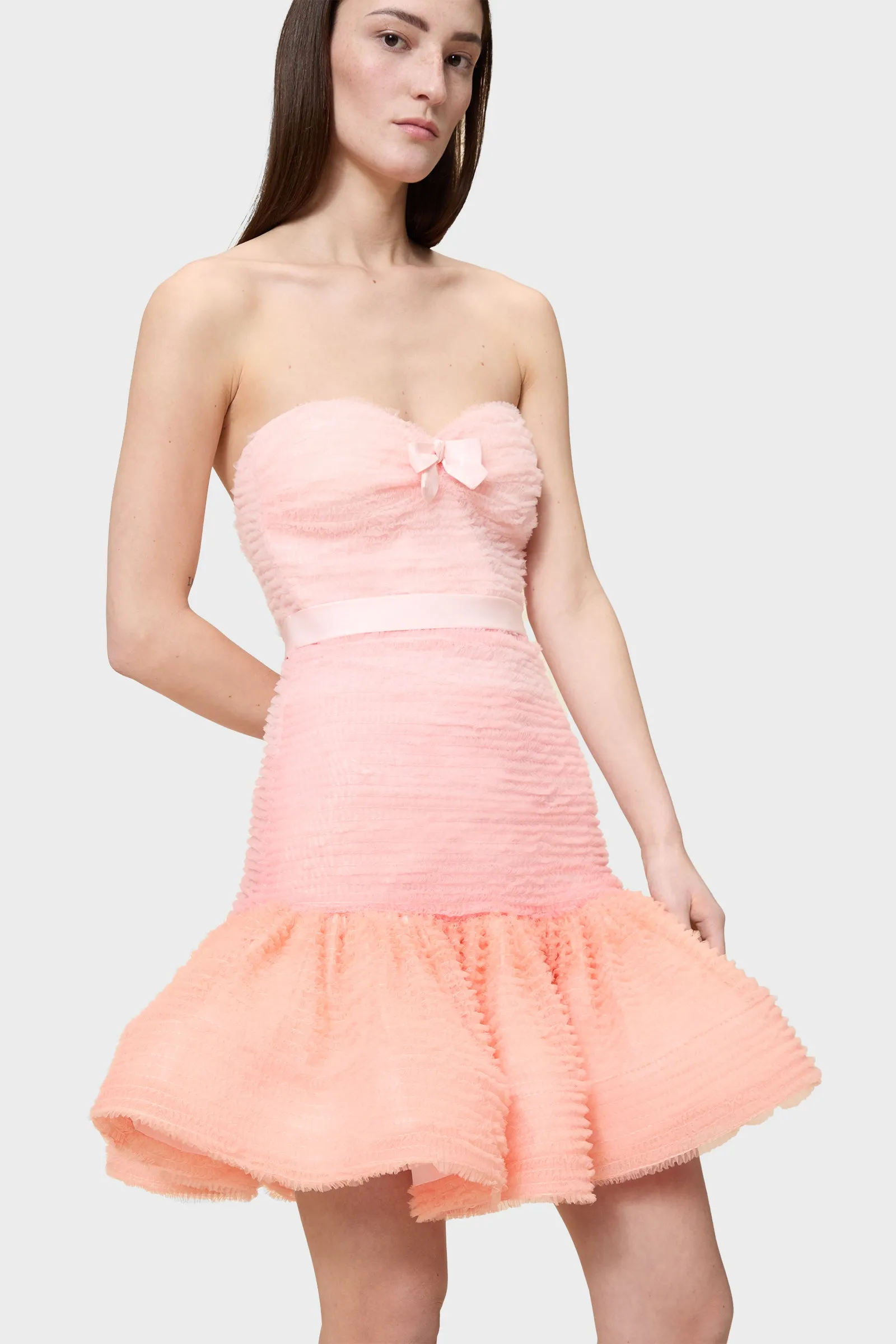 TULLE RUFFLE DRESS sold by Viktor & Rolf product image thumbnail 3