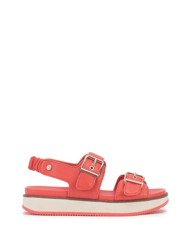Anivay Sandal sold by Vince Camuto