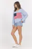 Light Blue American Flag Graphic Sweater sold by Vintage Havana