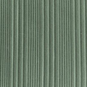 Thalia Organic Rib Crop Top - Agave Organic Rib sold by Vitamin A product image thumbnail 3