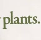 Get In Your Plants Organic Graphic Tee - Green sold by Vitamin A product image thumbnail 4
