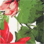 Upcycled California High Leg - Baja Botanical sold by Vitamin A product image thumbnail 4