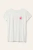 Graphic Tee - Ocean Enthusiasts Organic Cotton sold by Vitamin A