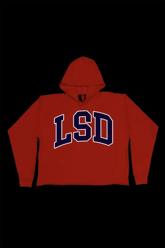 KUDOS LSD COLLEGE HOODIE sold by VLONE