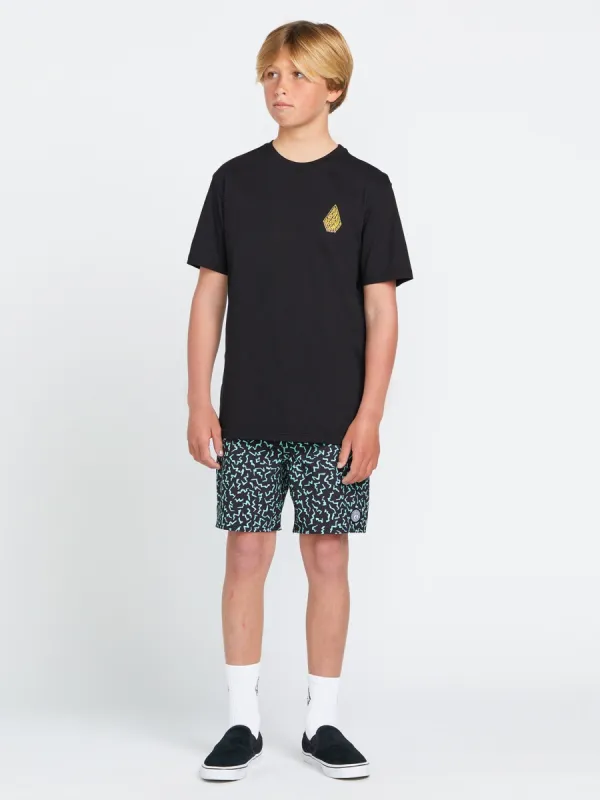 Big Boys Asphalt Beach Trunks - Black sold by Volcom