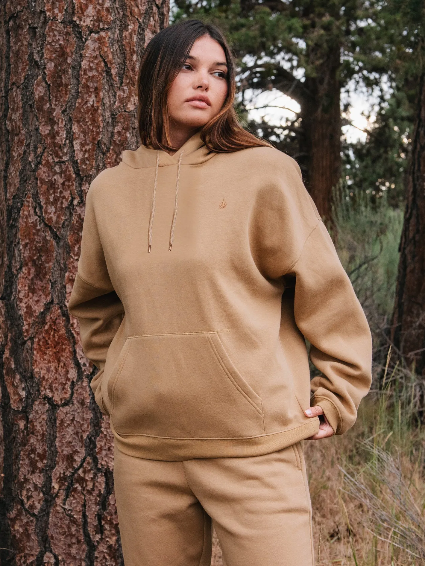 Stone Heart II Hoodie - Mocha sold by Volcom