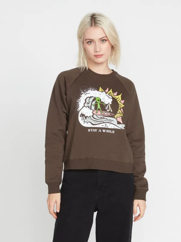 Truly Stokin Sweatshirt - Espresso sold by Volcom