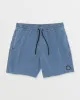 Center Trunks - Blueberry sold by Volcom