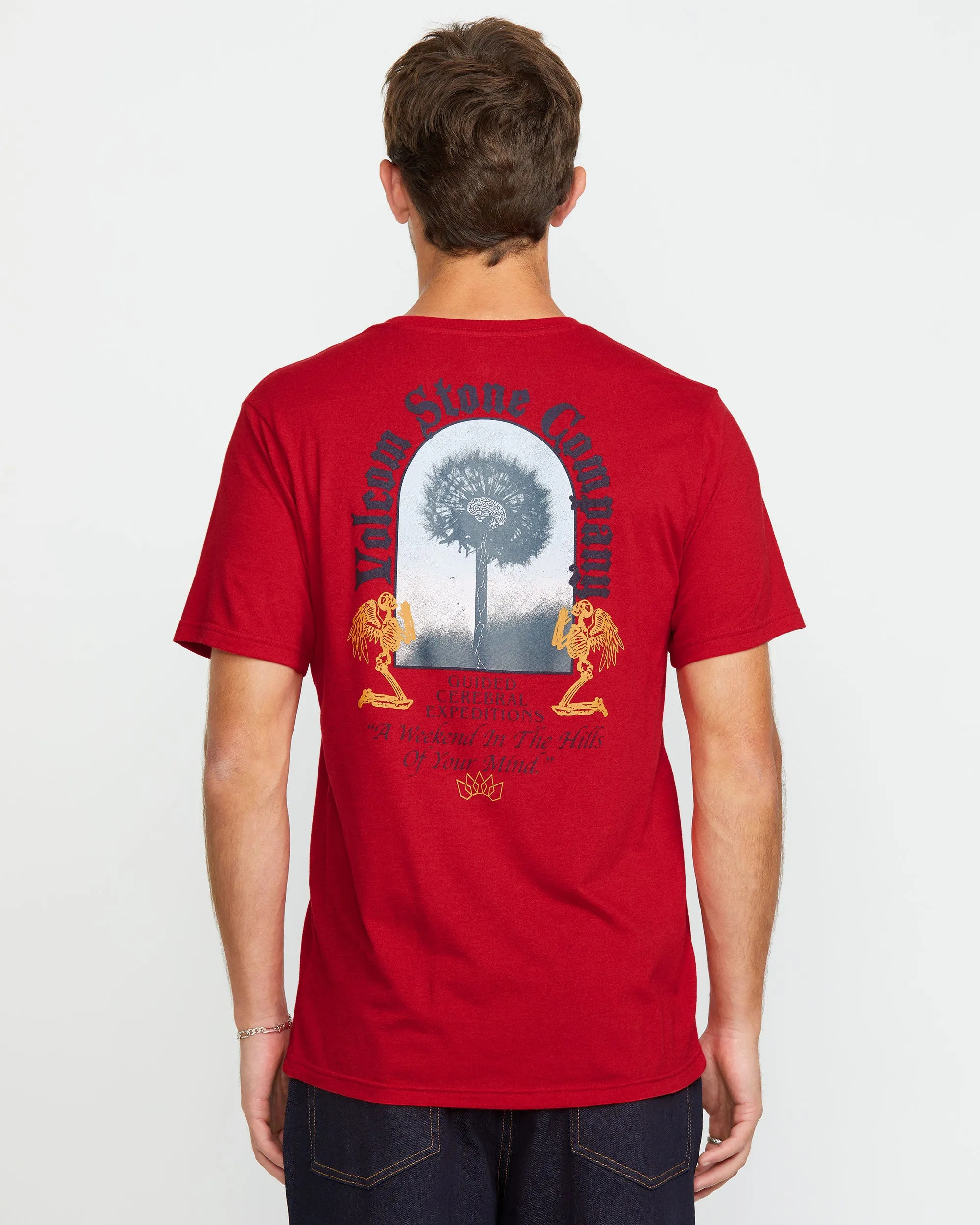 Men's Cosmic Root Short Sleeve Tee sold by Volcom product image thumbnail 2