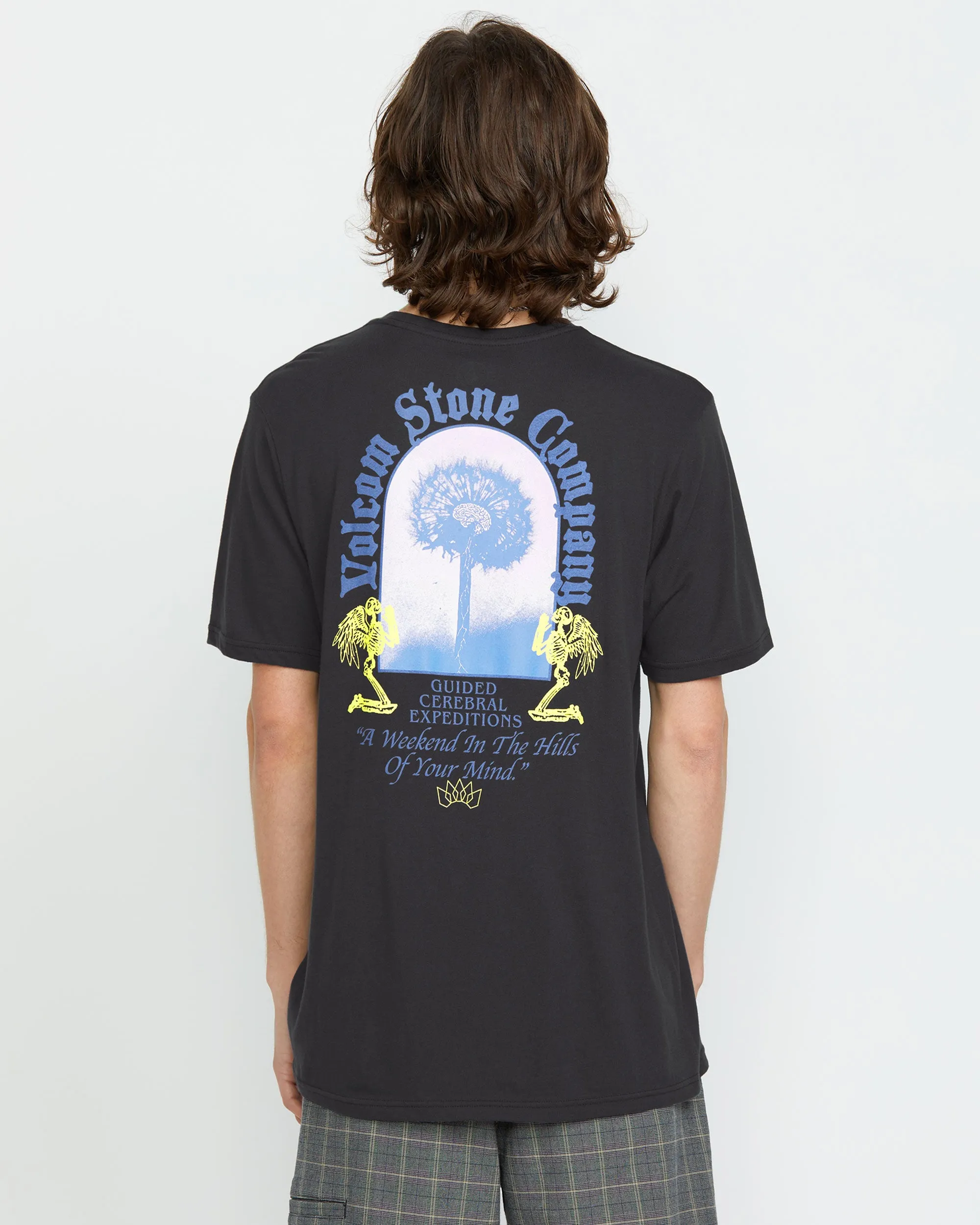 Men's Cosmic Root Short Sleeve Tee sold by Volcom product image thumbnail 2