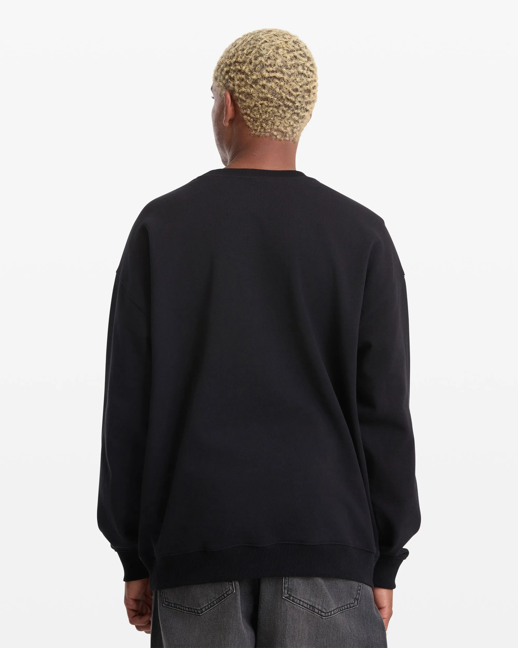 Men's Featured Artist Seth Conboy Crew sold by Volcom product image thumbnail 2