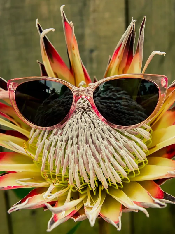 Butter Sunglasses - Crystal Light Pink/Gray sold by Volcom