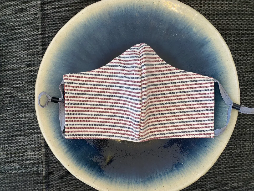 Back to Work Red x Blue Stripe Canvas Masks sold by VPL