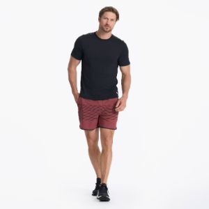 Banks Short 5" | Currant Stripe sold by Vuori