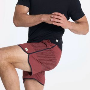 Banks Short 5" | Currant Stripe sold by Vuori