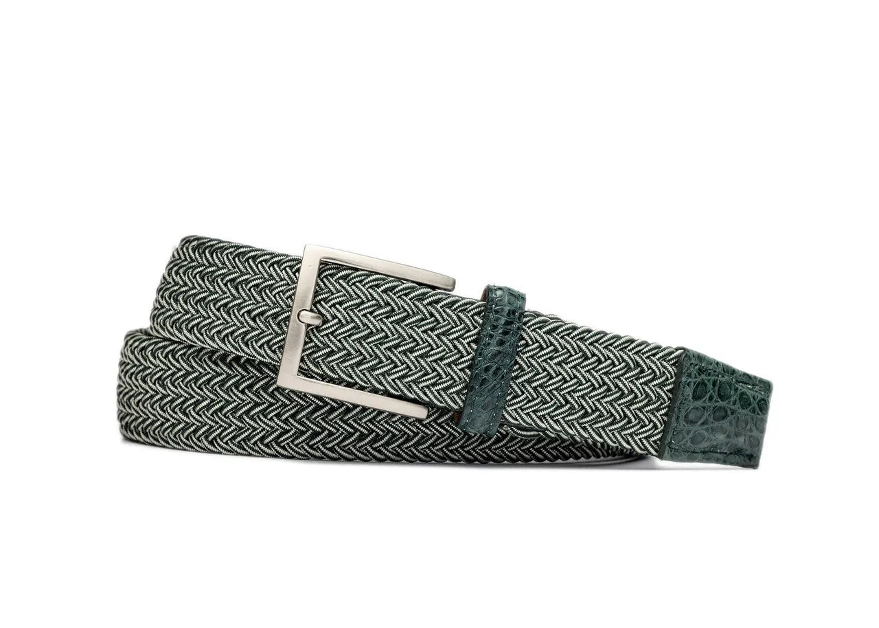 Green Stripe Stretch Belt with Croc Tabs and Brushed Nickel Buckle sold by W. Kleinberg