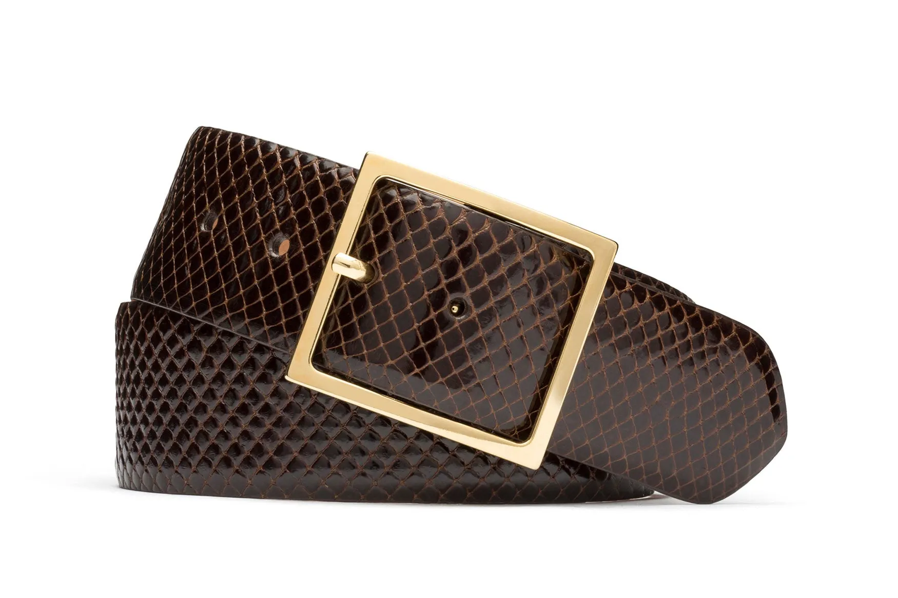 Anaconda Belt with Gold Buckle sold by W. Kleinberg