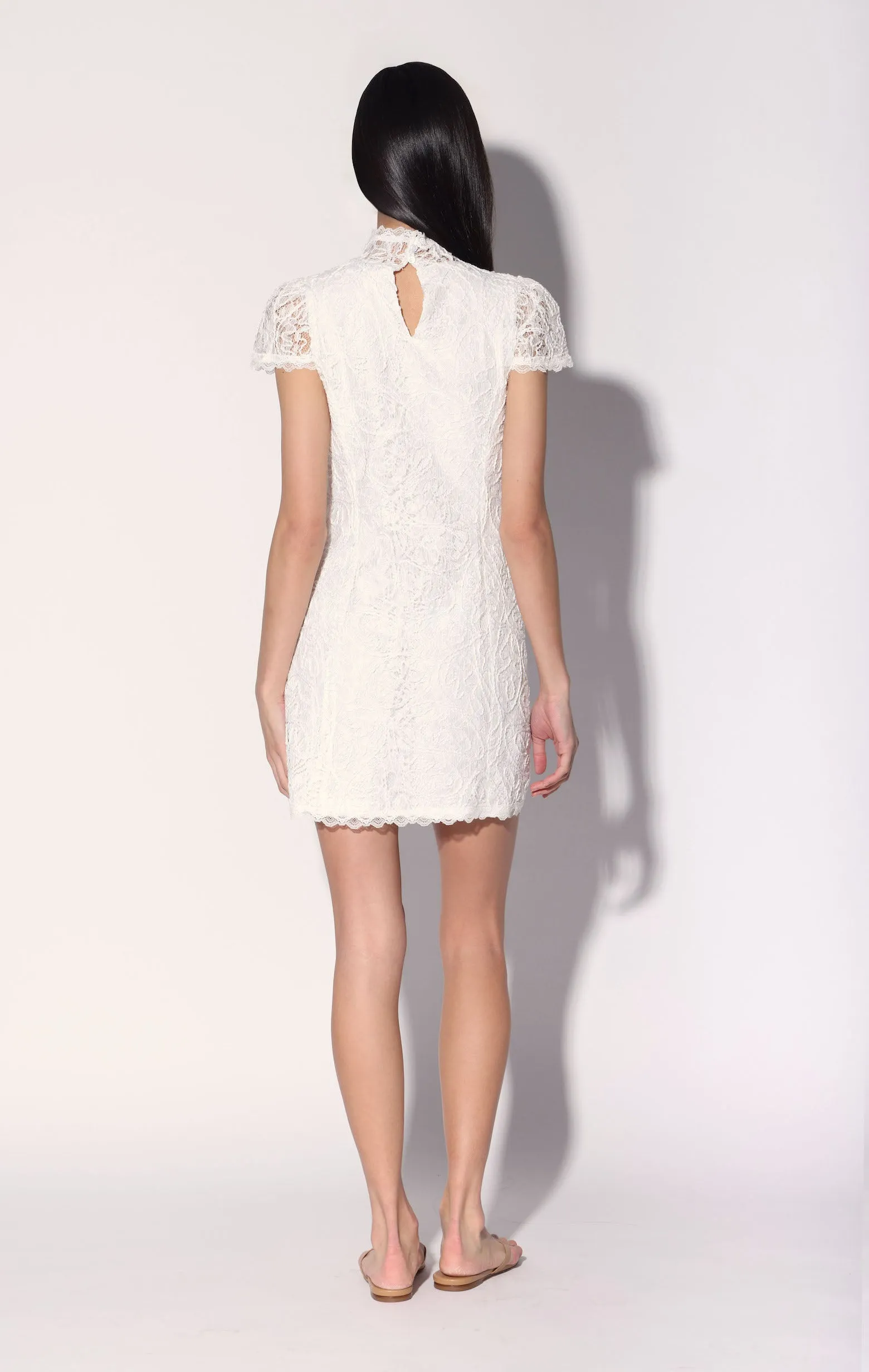 Ariana Dress, White Lace sold by Walter Baker product image thumbnail 4