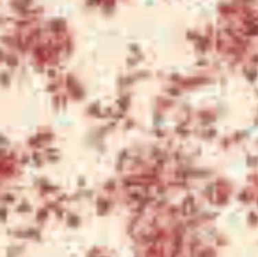 MELINDA MIDI DRESS sold by Wayf product image thumbnail 3