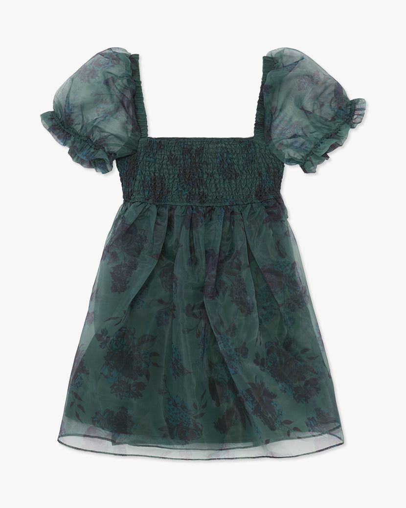 Puff Sleeve Painted Floral Organza Mini Dress sold by WeWoreWhat product image thumbnail 2
