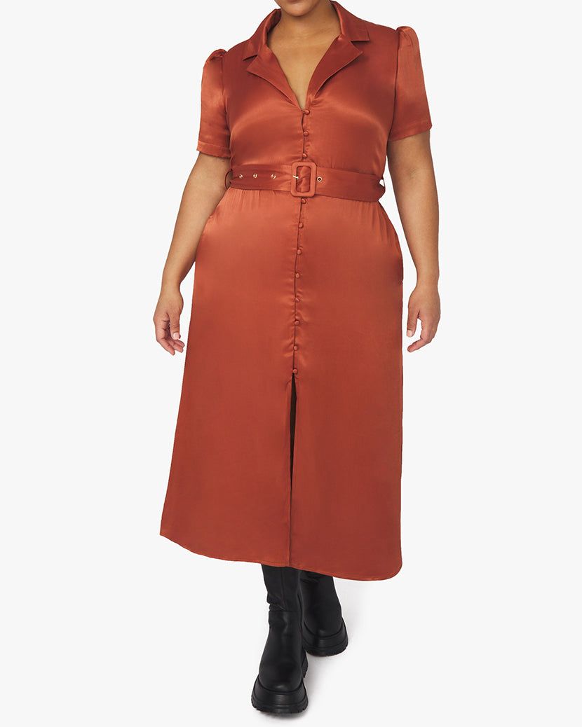 Camp Satin Collar Shirt Dress sold by WeWoreWhat product image thumbnail 6