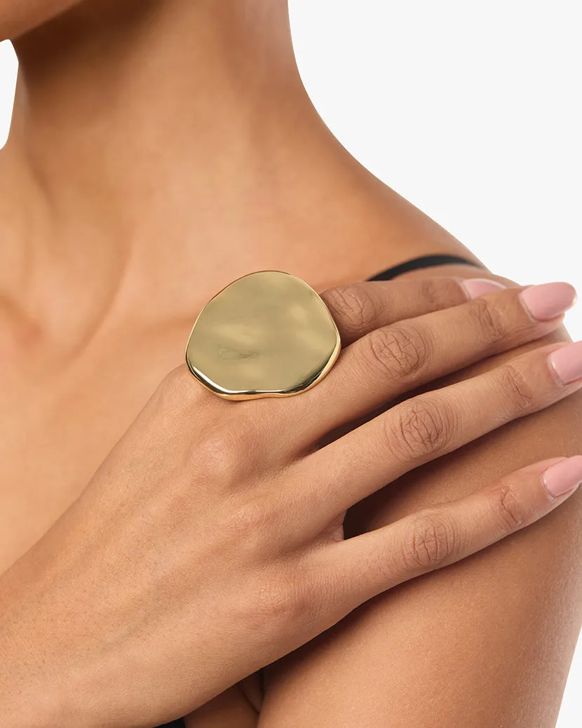 Hammered Plate Ring sold by WeWoreWhat