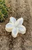 Floral Charm Hair Clip Pearl sold by White Fox Boutique