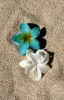 Floral Charm Hair Clip Blue sold by White Fox Boutique
