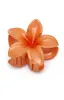 Floral Charm Hair Clip Peach sold by White Fox Boutique