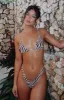 Belmont Bottoms Caribbean Waves sold by White Fox Boutique