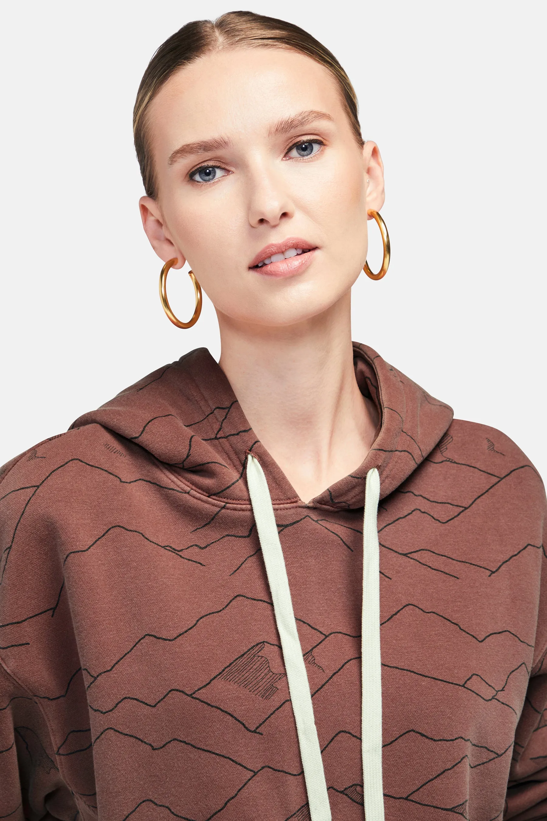 Magnitude Harley Hoodie | Pigment Cherry Mahogany sold by Wildfox product image thumbnail 4