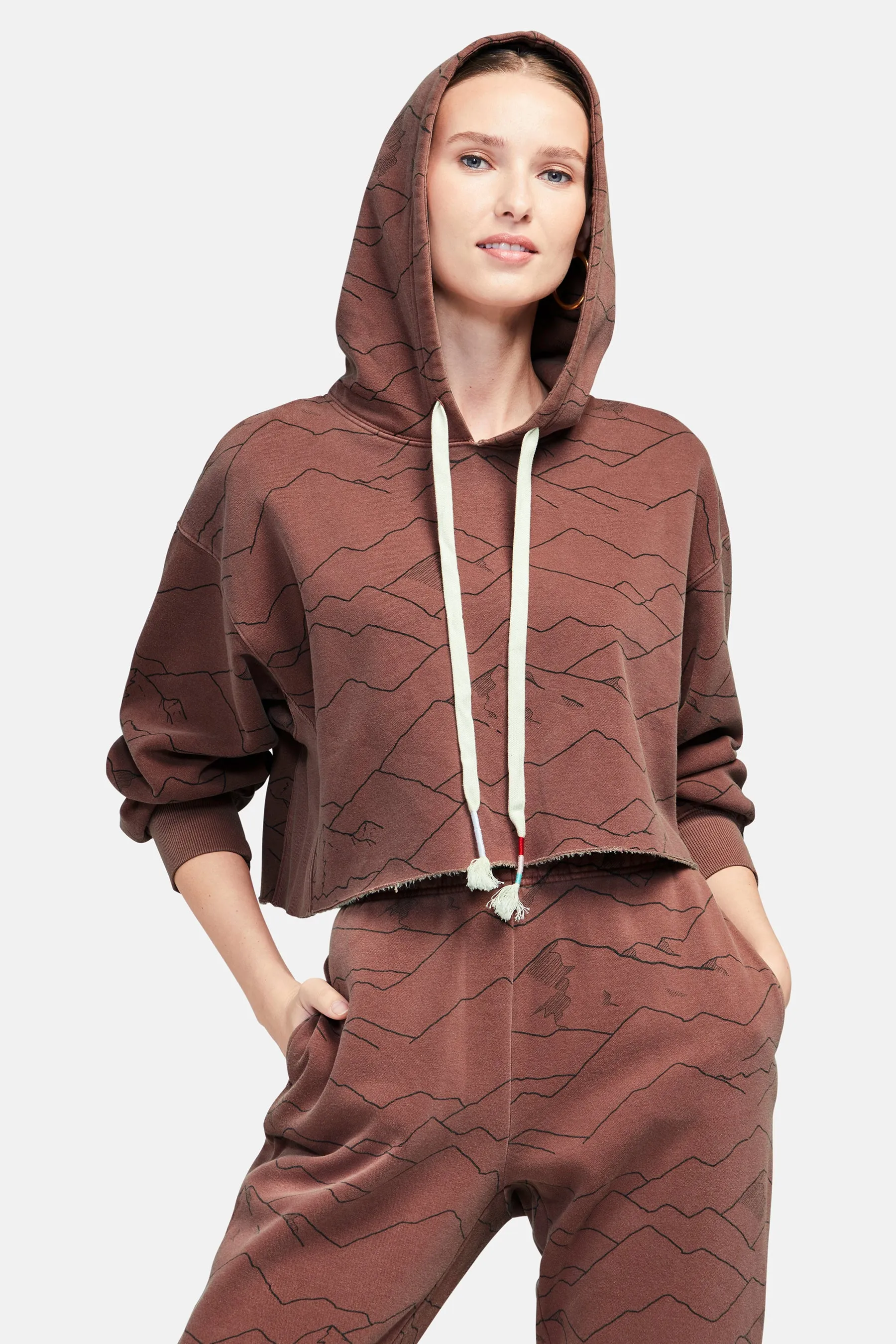 Magnitude Harley Hoodie | Pigment Cherry Mahogany sold by Wildfox product image thumbnail 2