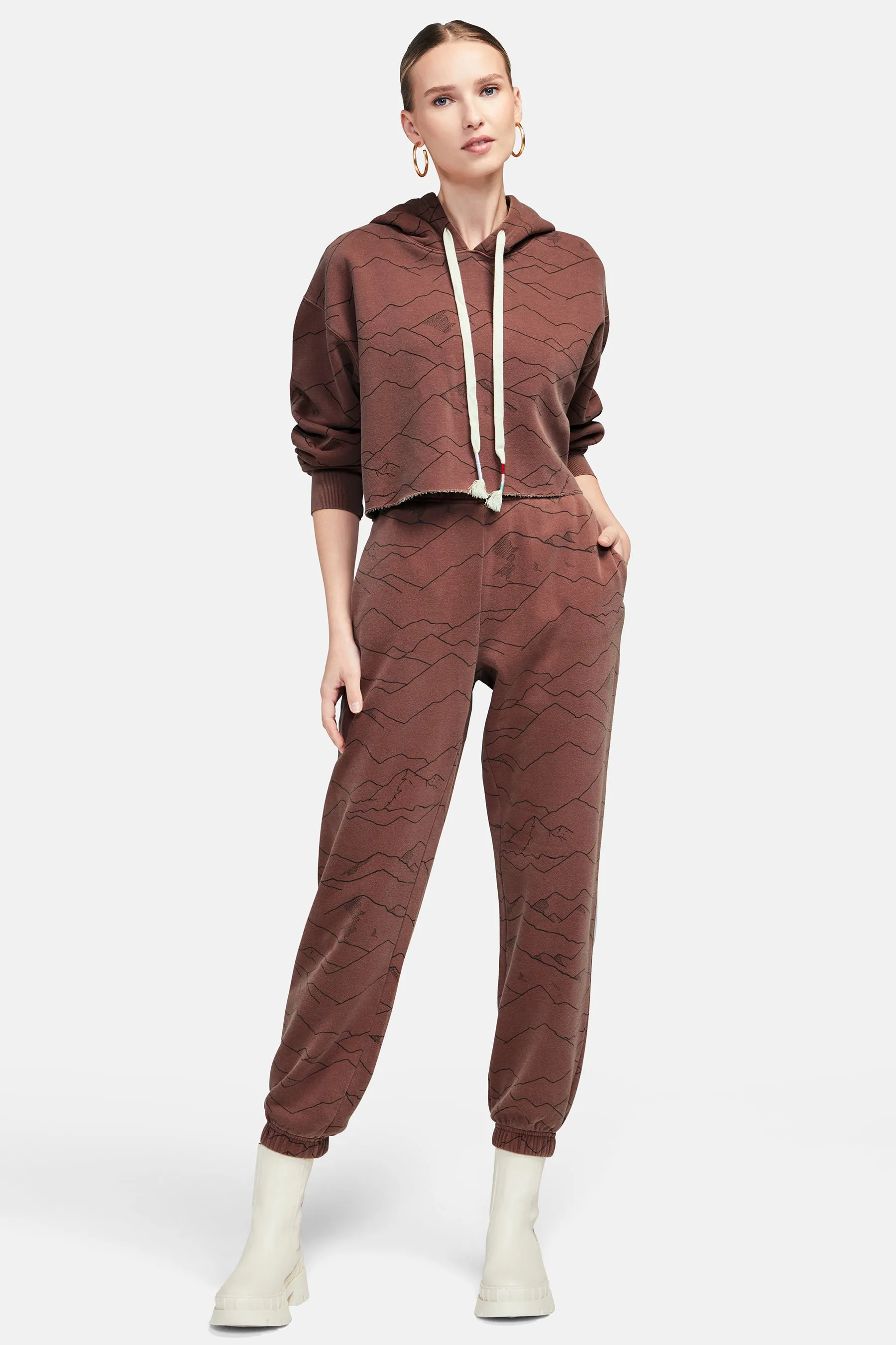 Magnitude Harley Hoodie | Pigment Cherry Mahogany sold by Wildfox product image thumbnail 3