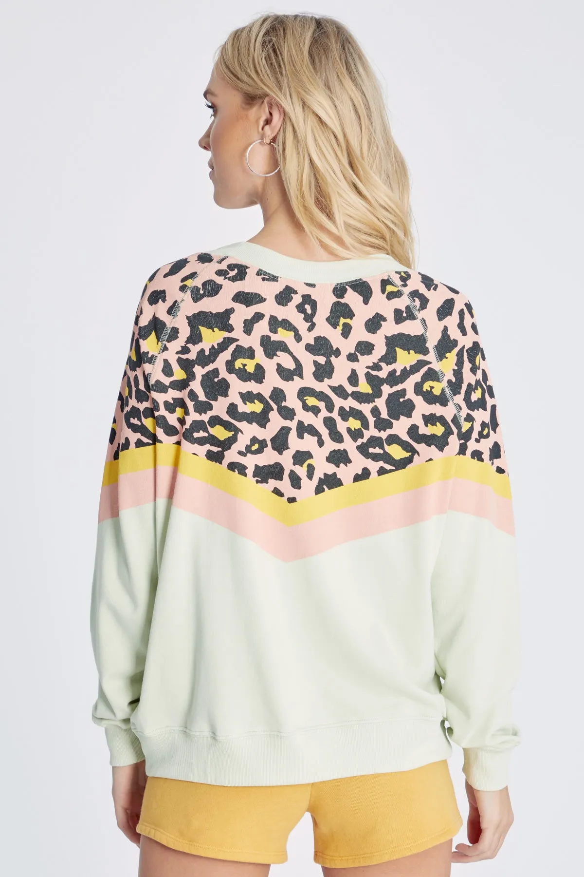 Party Cat Sommers Sweatshirt | Aloe sold by Wildfox product image thumbnail 4