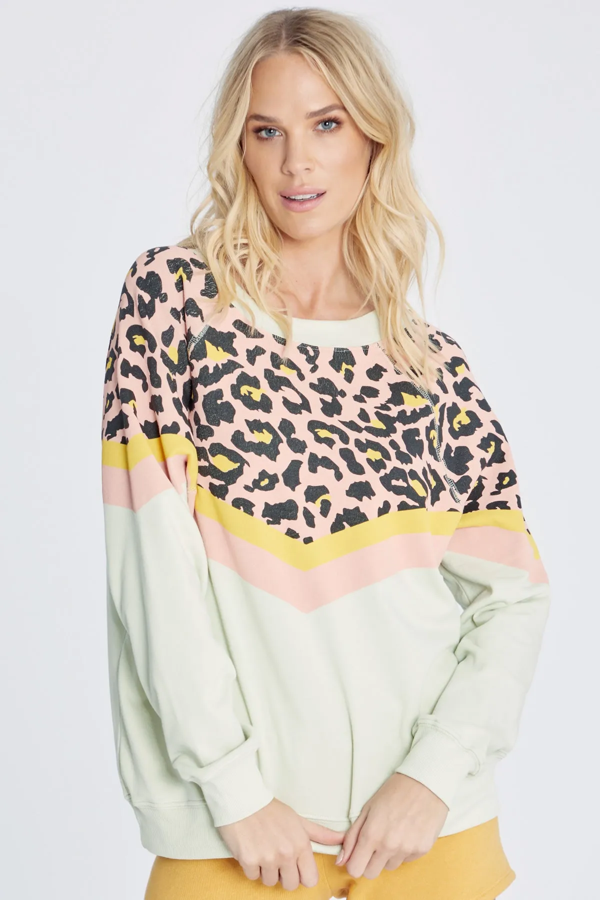 Party Cat Sommers Sweatshirt | Aloe sold by Wildfox