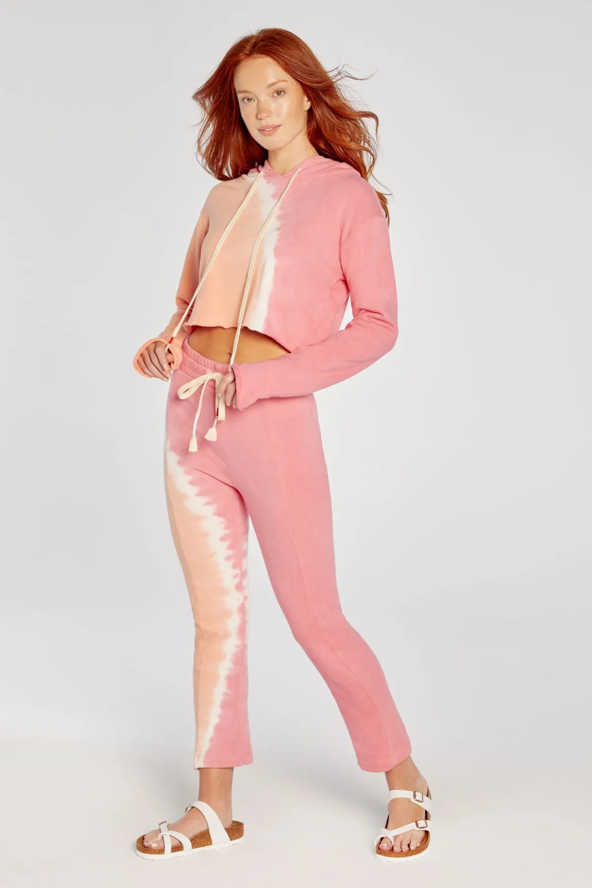 Sherbert Wash Ivy Hoodie | Sherbert Wash sold by Wildfox product image thumbnail 5