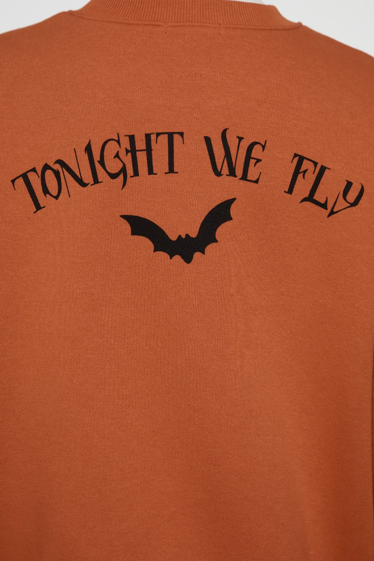 Tonight We Fly Alex Sweatshirt | Autumn Leaf sold by Wildfox product image thumbnail 5