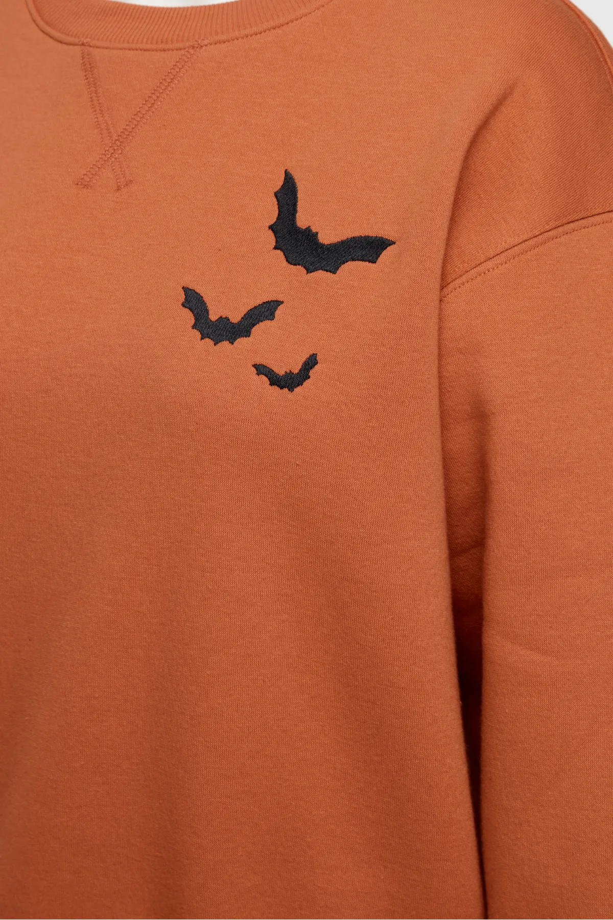 Tonight We Fly Alex Sweatshirt | Autumn Leaf sold by Wildfox product image thumbnail 4