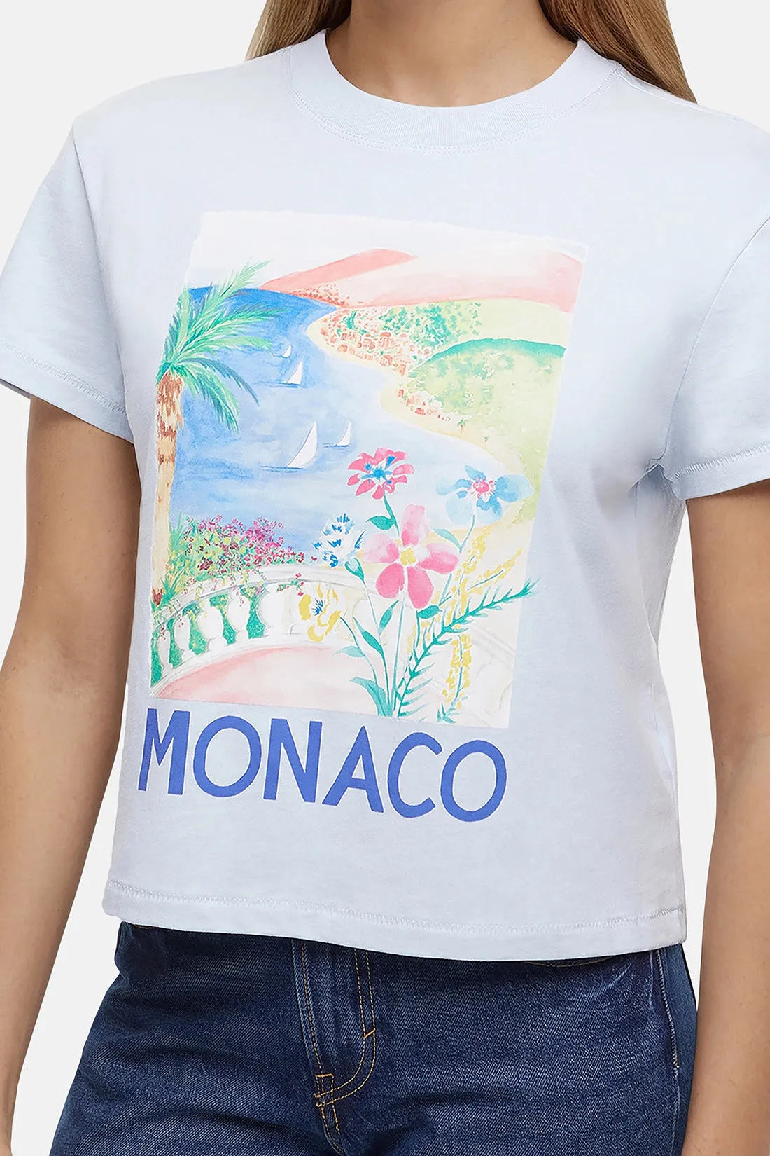 Monaco Jamie Tee | Skyway sold by Wildfox product image thumbnail 5