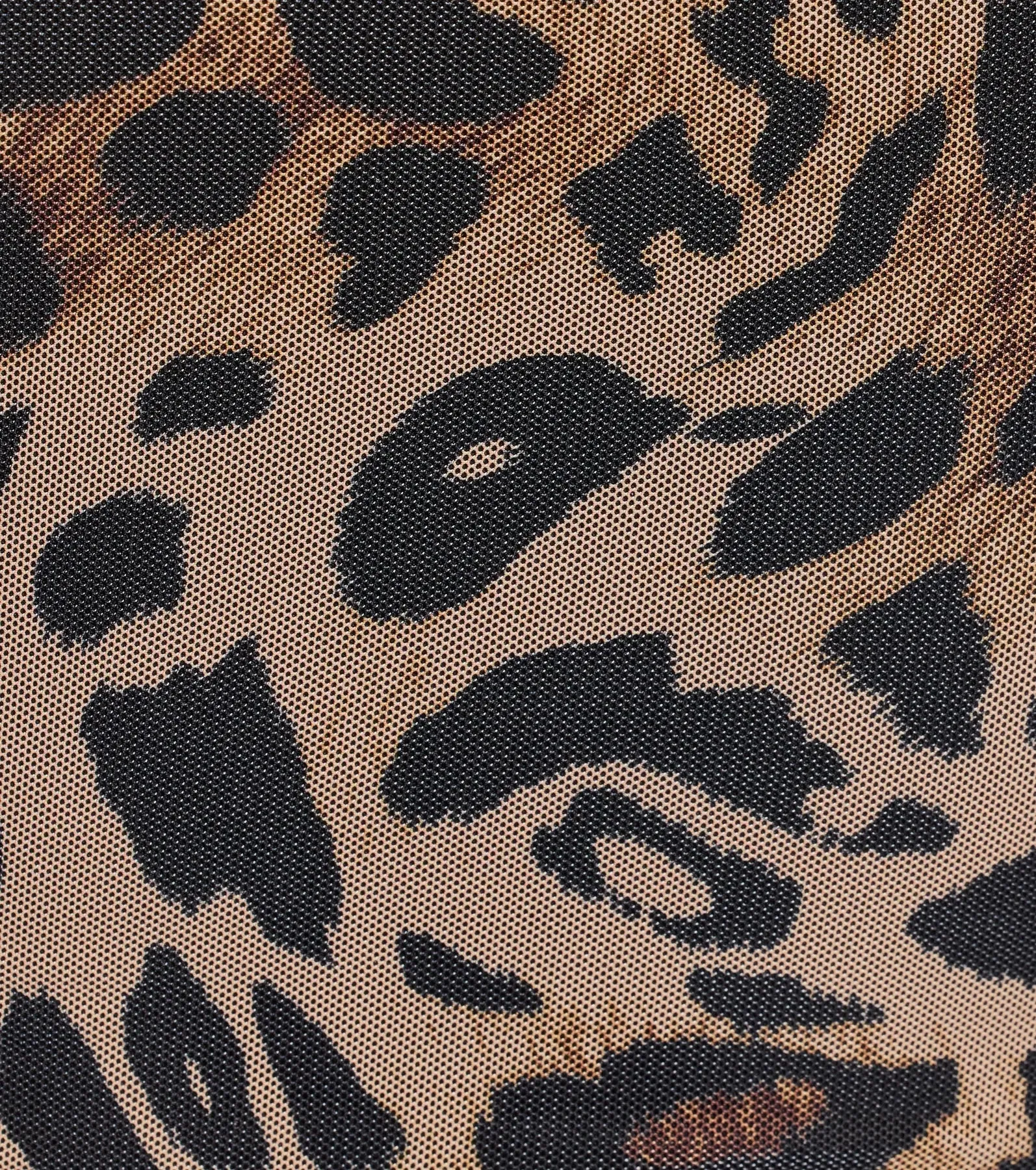 Feline Fierce Lace Trim Leopard Mesh Bustier sold by Windsor product image thumbnail 4