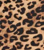 Flirty Leopard Print Satin Mini Skirt sold by Windsor