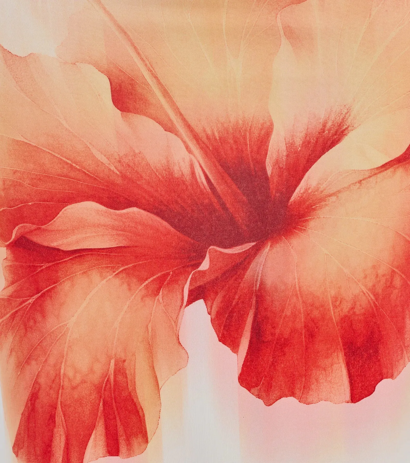 Outside The Lines Floral Print Crop Top sold by Windsor product image thumbnail 4