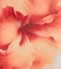 Bold Vibe Floral Print Strapless Bodycon Mini Dress sold by Windsor