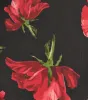 Beauty So Divine Floral Satin A-Line Mini Dress sold by Windsor