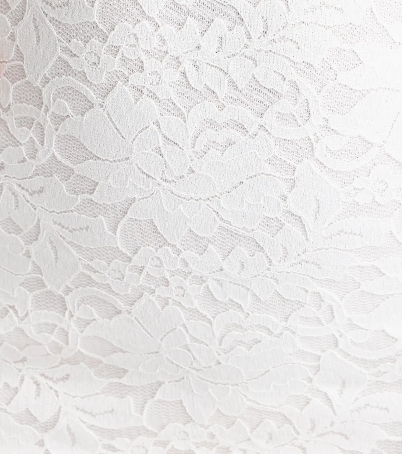 Delightful Romance Lace Trim Lace-Up Floral Mini Dress sold by Windsor product image thumbnail 4