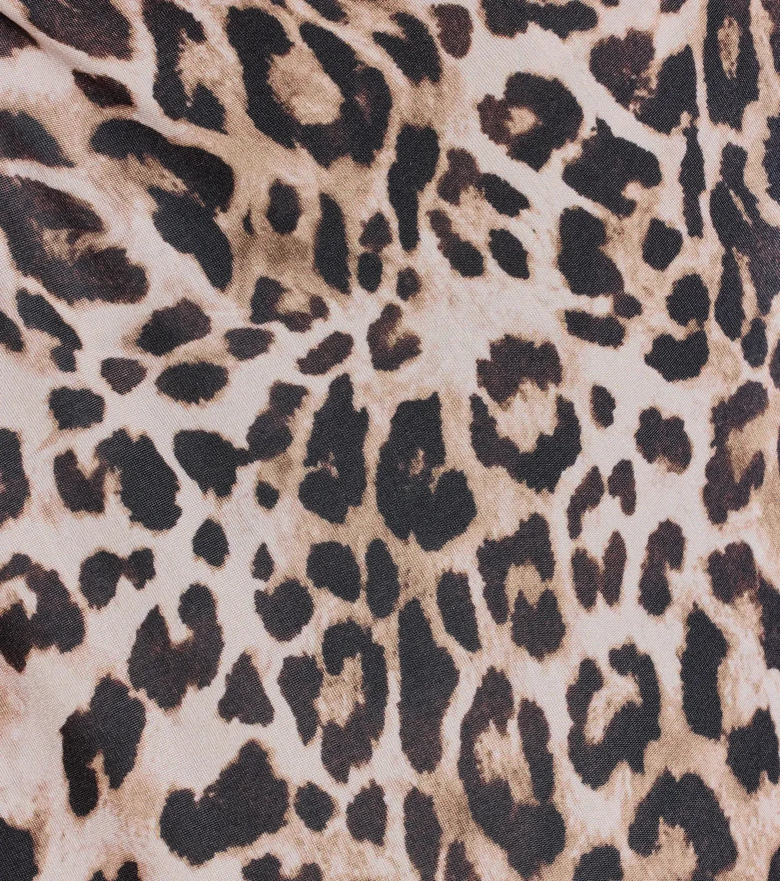 Prowlin Around Cowl Halter Leopard Crop Top sold by Windsor product image thumbnail 4