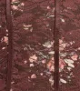 Flirty Fleur Strapless Floral Lace Mini Dress sold by Windsor
