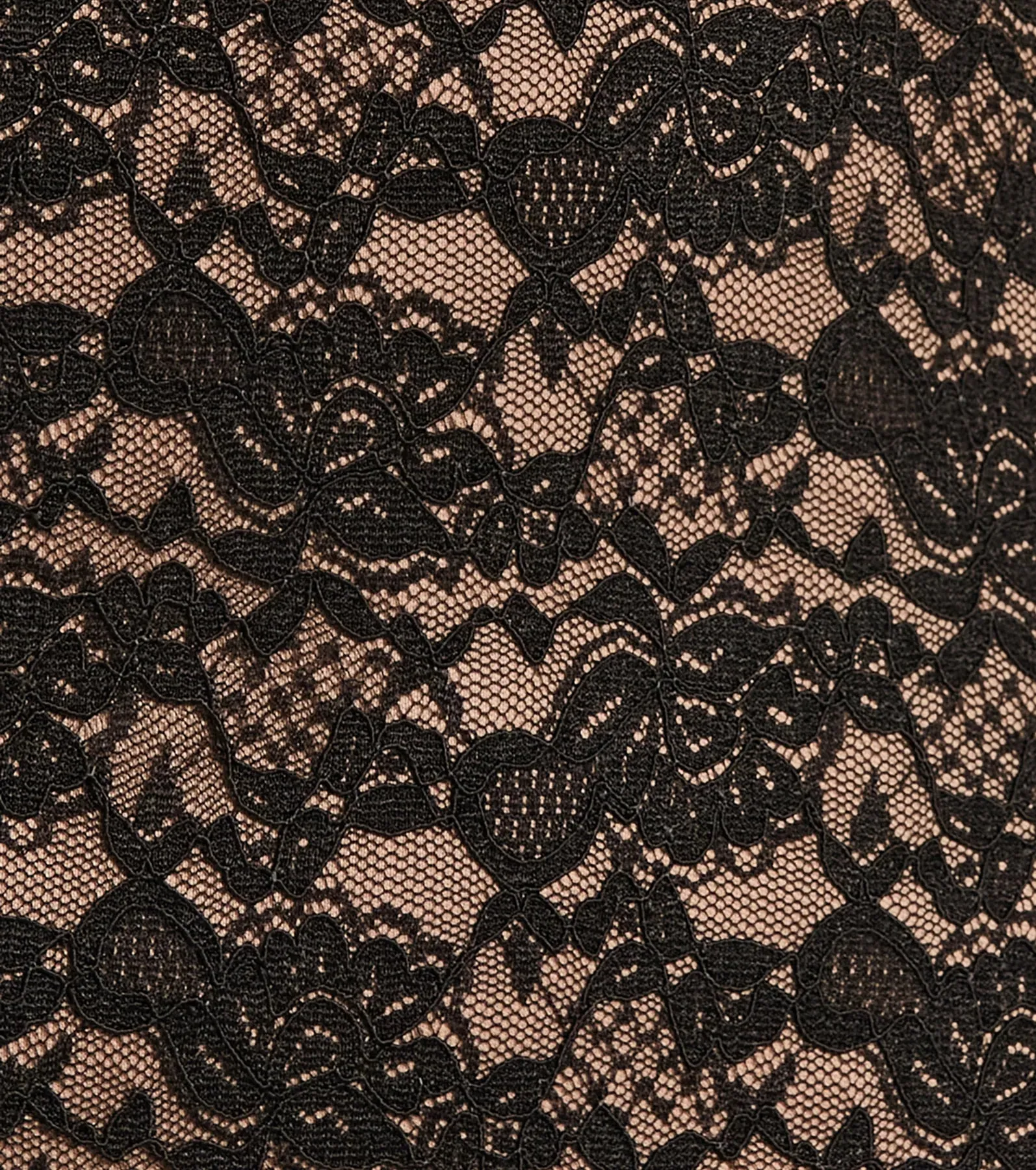 Something Haute V-Neck Lace Ruffle Mini Dress sold by Windsor product image thumbnail 3