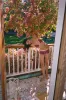 Juni Bikini Top | Red Stripe sold by With Jean